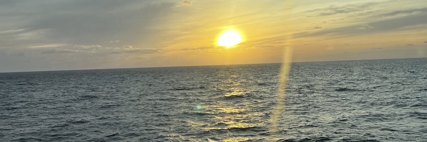 marimonroefan's profile banner image