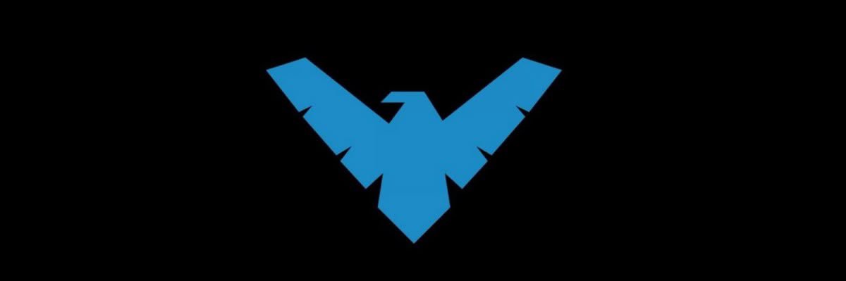 Nightwing (Boy Wonder) 🐦 banner