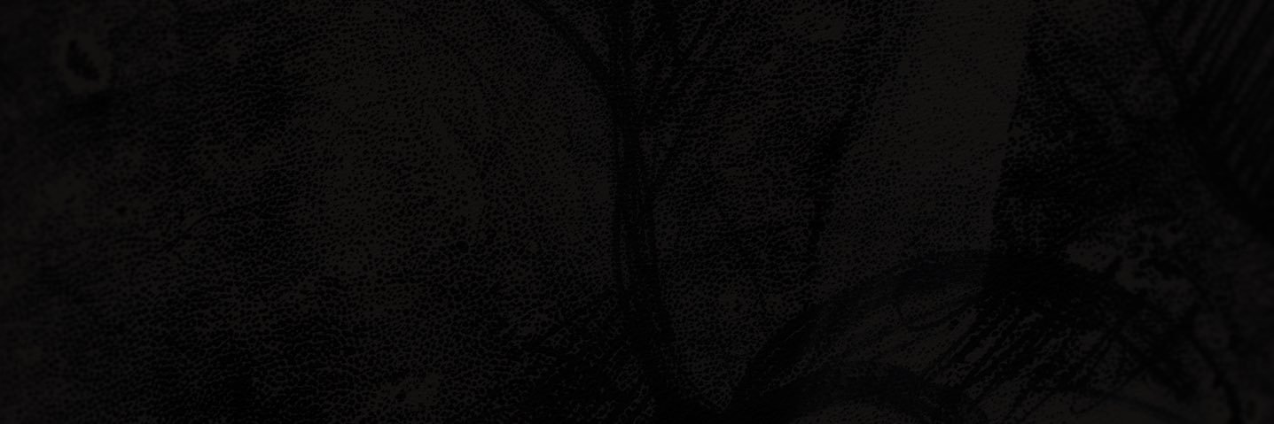 BendySOTM's profile banner image