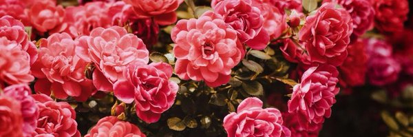 inuptra Profile Banner