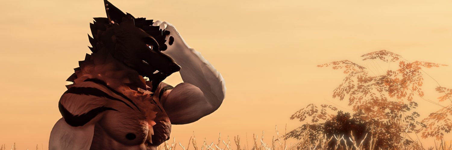 Zef 🌶️🌶️🌶️ 🔜 FWA banner