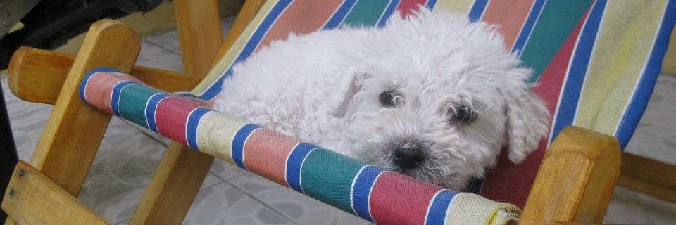 melizamaro's profile banner image