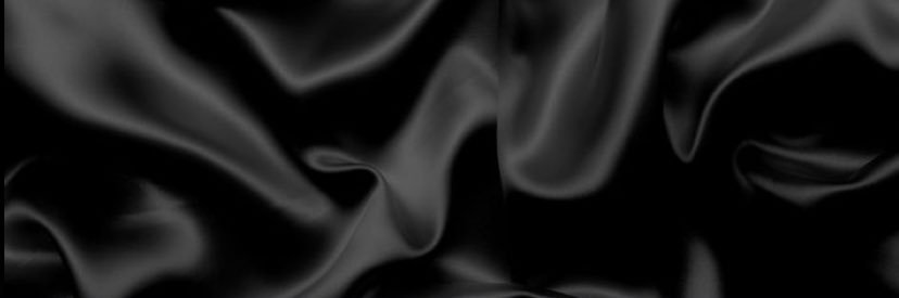 danicalepine's profile banner image