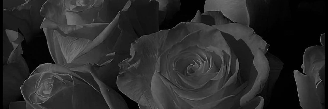 _ihateLeyaah's profile banner image