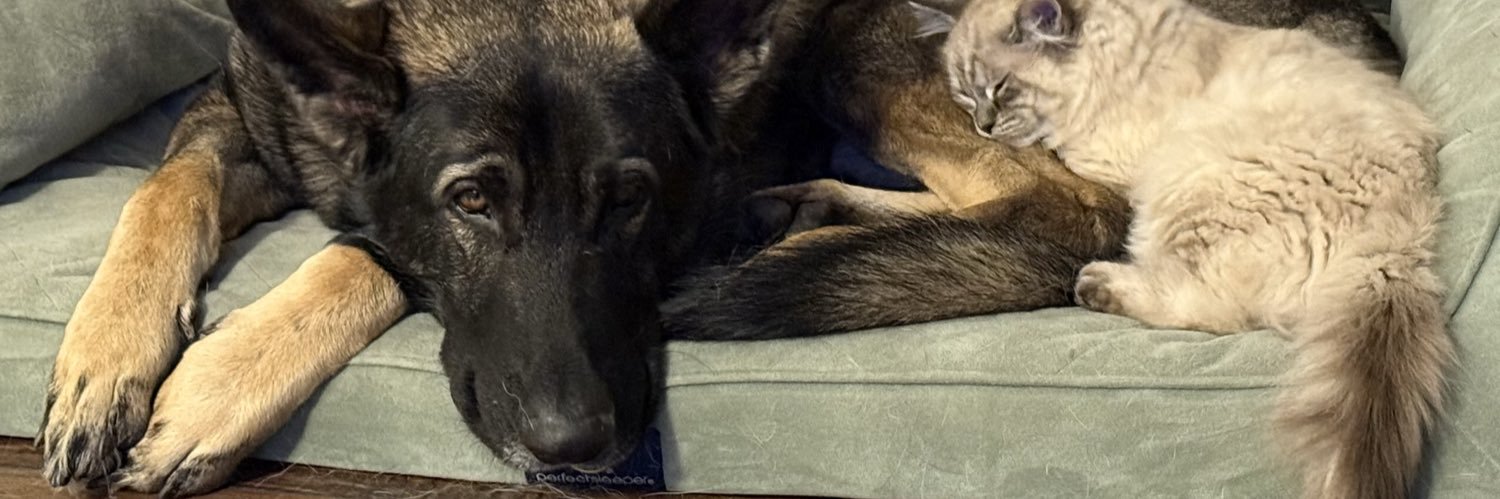 𝕱𝖆𝖊𝖙𝖍 🌙🦢 banner