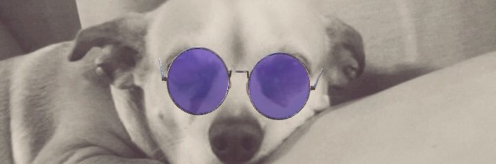 NancyNSCH's profile banner image