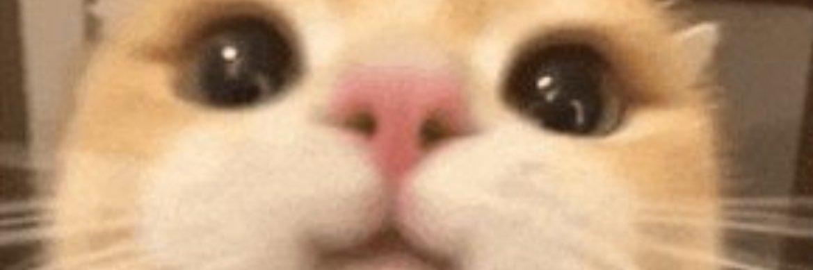 せぇ〜な🍀♂ banner