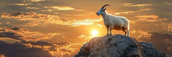 topofpekinorder Profile Banner