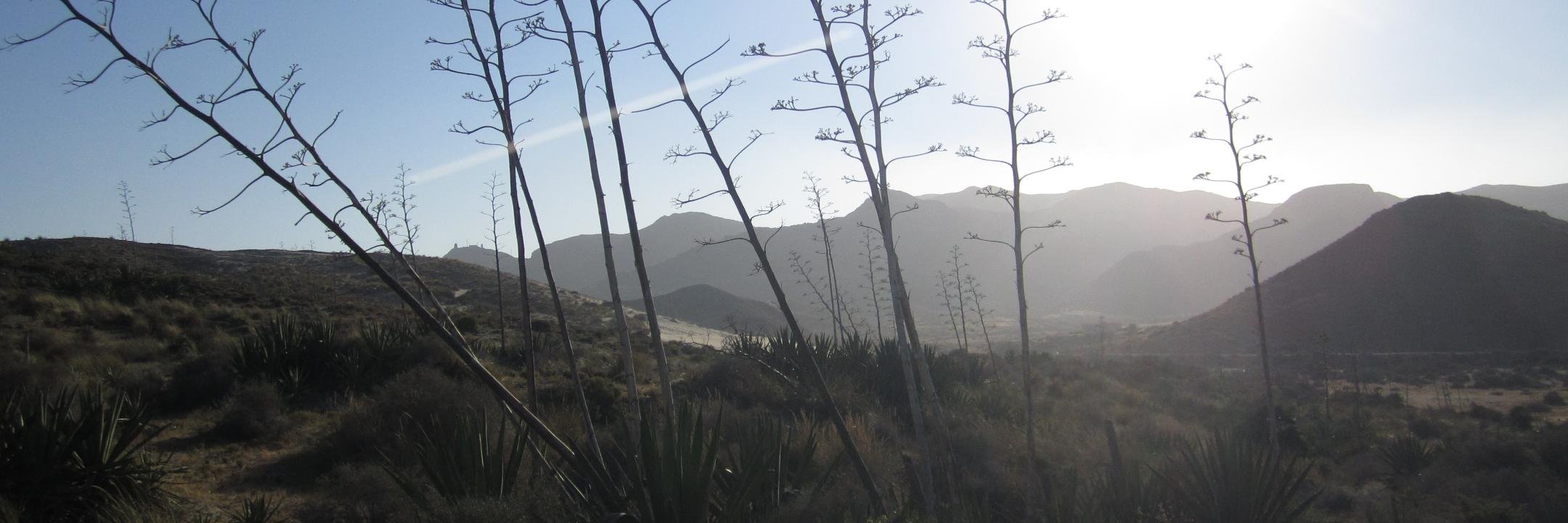 KarinEckhard's profile banner image