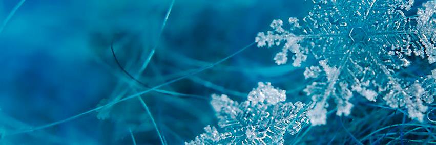 shwefrio's profile banner image