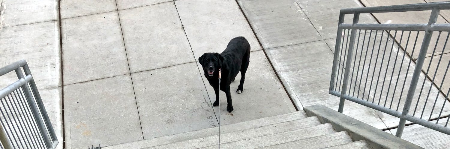 Kaitlin (she/her) banner