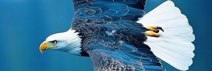 ARMSTRONG🌴™ banner