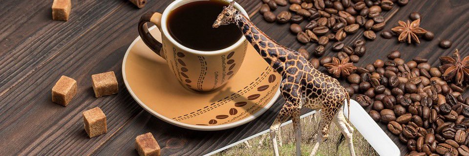 ColondreX 👑 banner