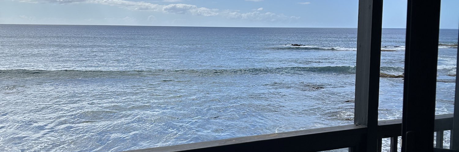 The Burgerman banner