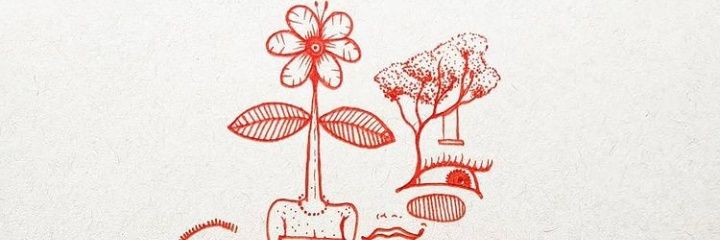LulaRuta19's profile banner image