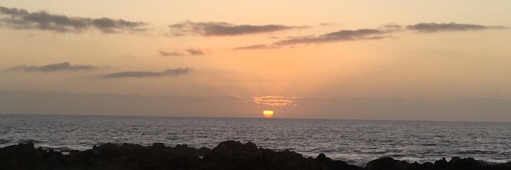 melimenes's profile banner image