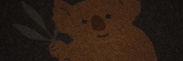 Yoi_PHOTO Profile Banner