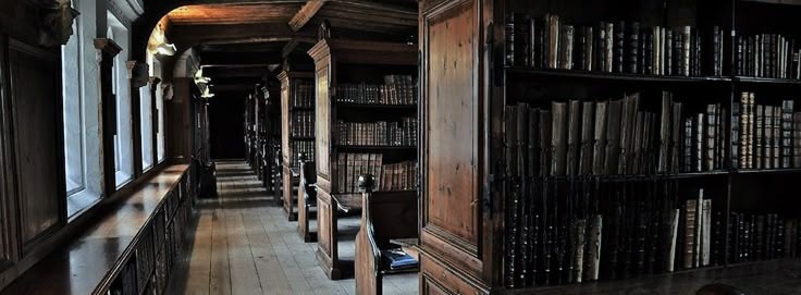 𝐀𝐋𝐄𝐗𝐀𝐍𝐃𝐄𝐑. banner