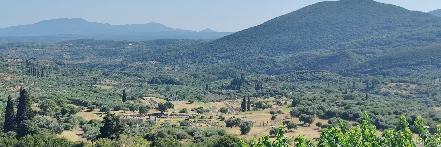 Matt Rogerson banner