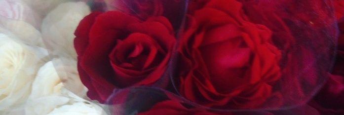 RastyariShin_'s profile banner image
