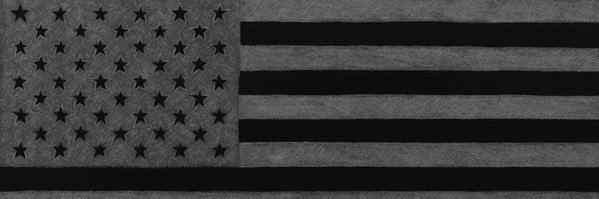 🇺🇸🏴enough is enough🏴🇺🇸 banner