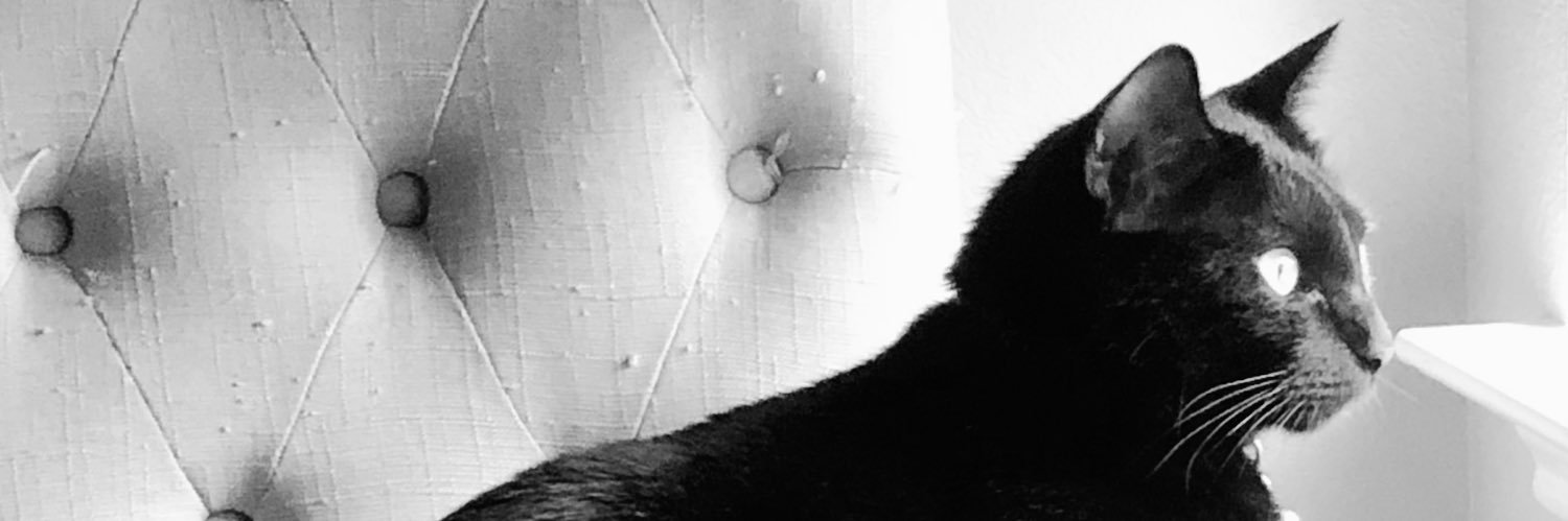 MissSRPowell's profile banner image