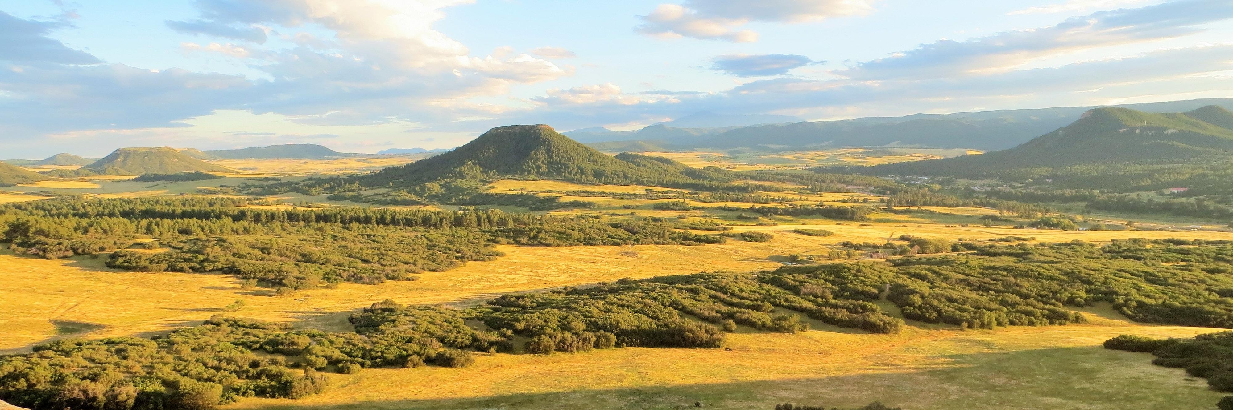 DLConservancy's profile banner image