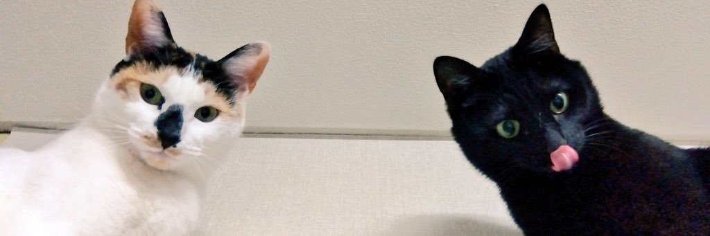yurasher's profile banner image