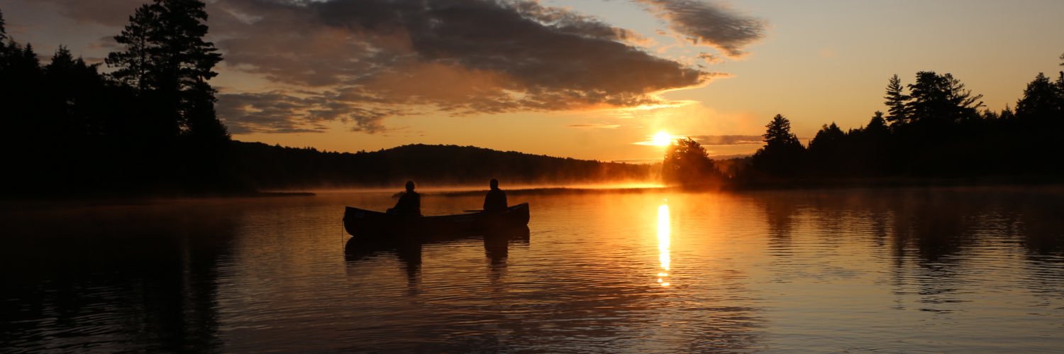 Laura Shutiak banner