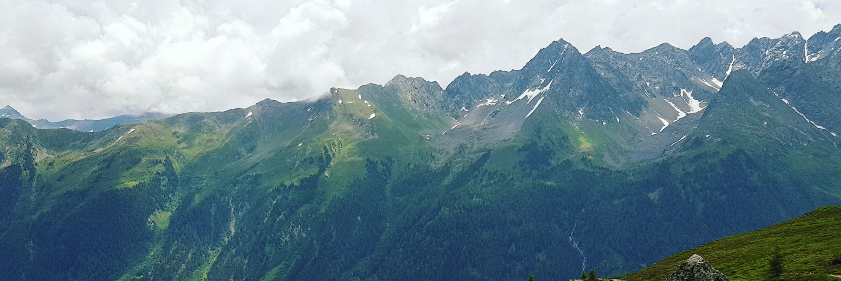 Alexander Evans banner