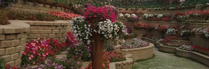 ammarahmed's profile banner image