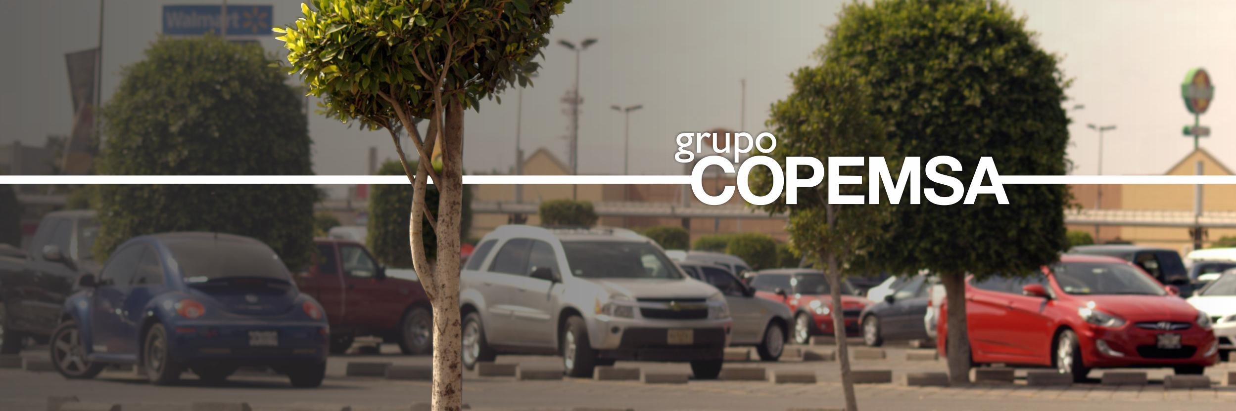 Grupo COPEMSA banner