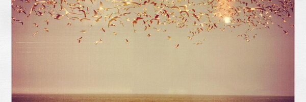 Christophe75007 Profile Banner