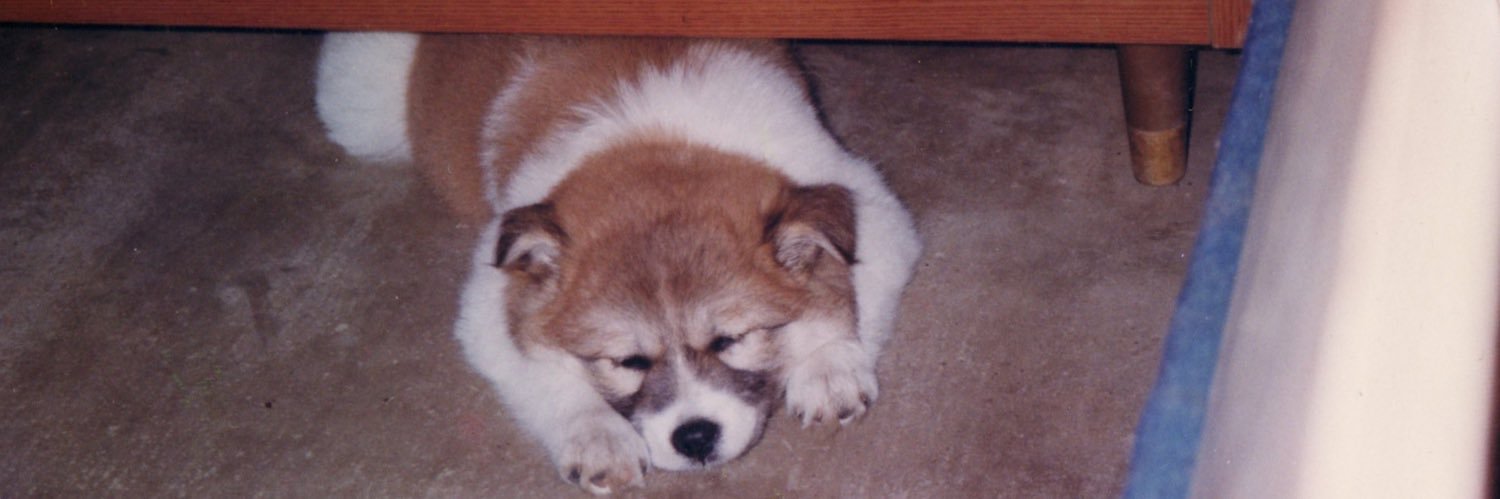 propellerpanda's profile banner image