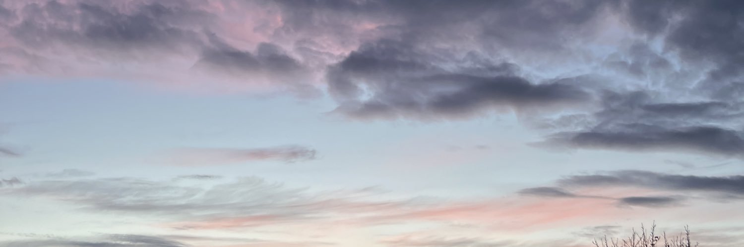 claudiamendiri's profile banner image