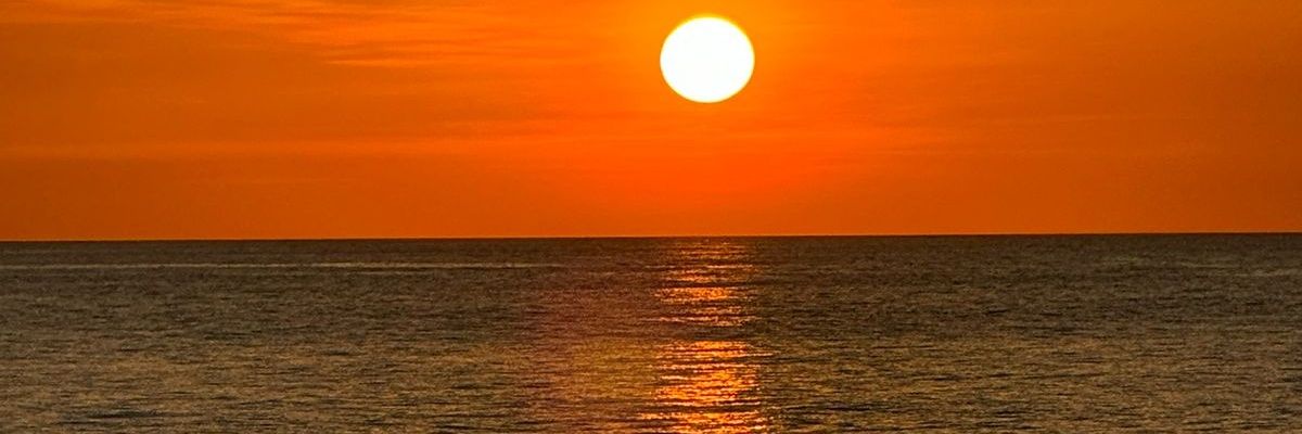 escudoNica's profile banner image