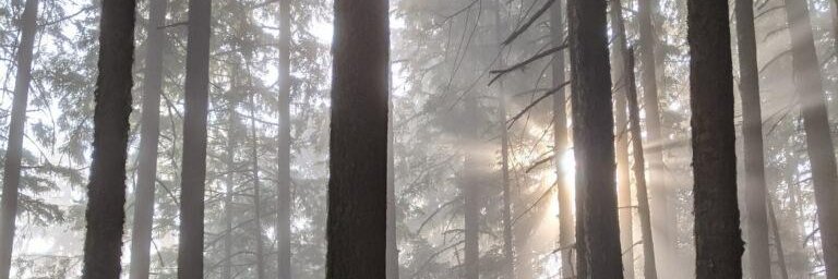 ashbyshayes's profile banner image