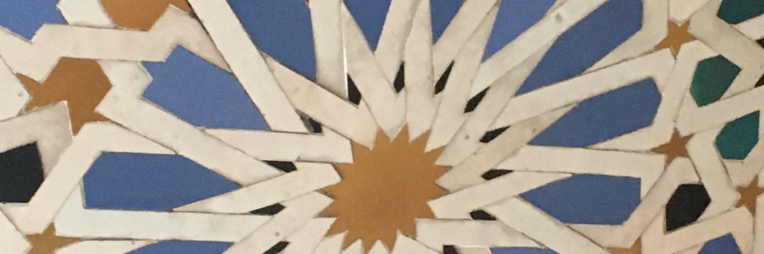 Mariona Sanz banner