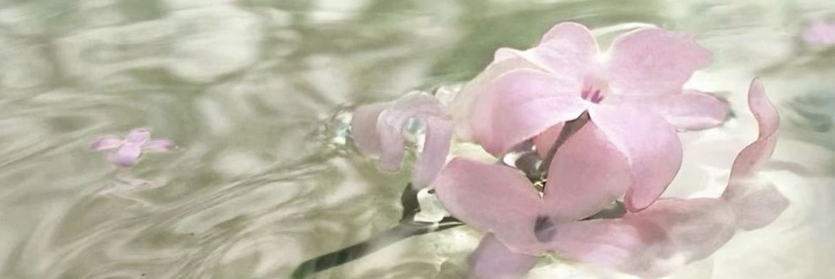 jhourmark's profile banner image