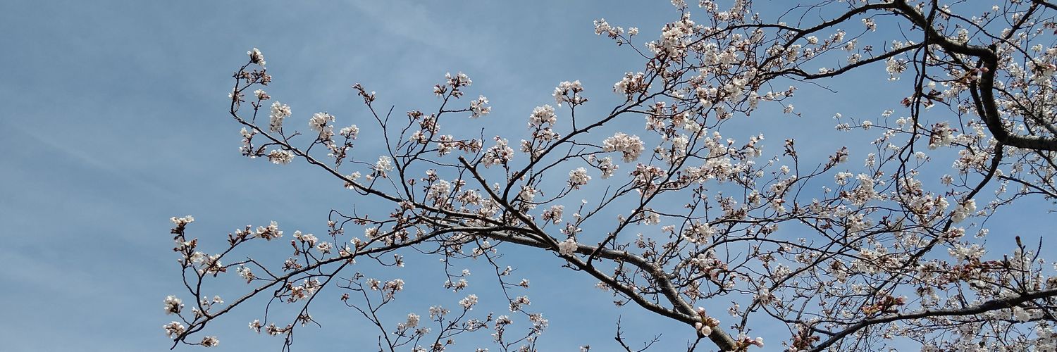 chomatoma's profile banner image