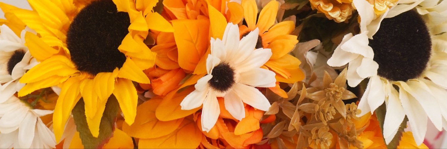 tailsofsunshine's profile banner image