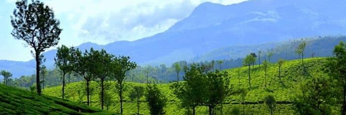 Ismwayanad's profile banner image