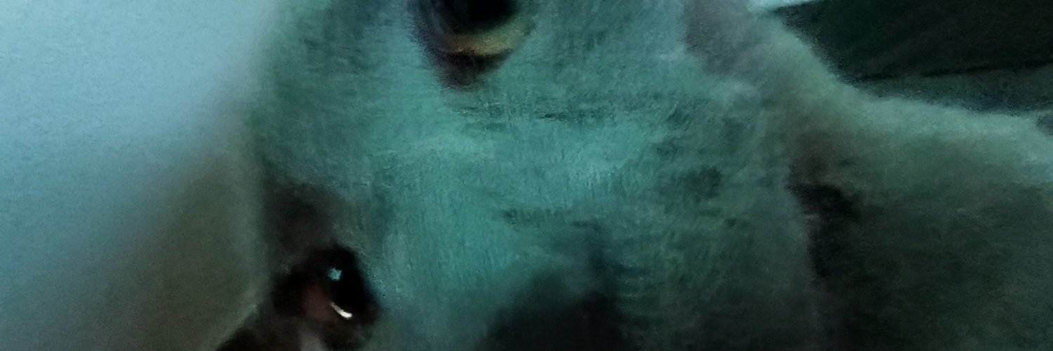 Liam banner