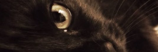 4V_ii7's profile banner image