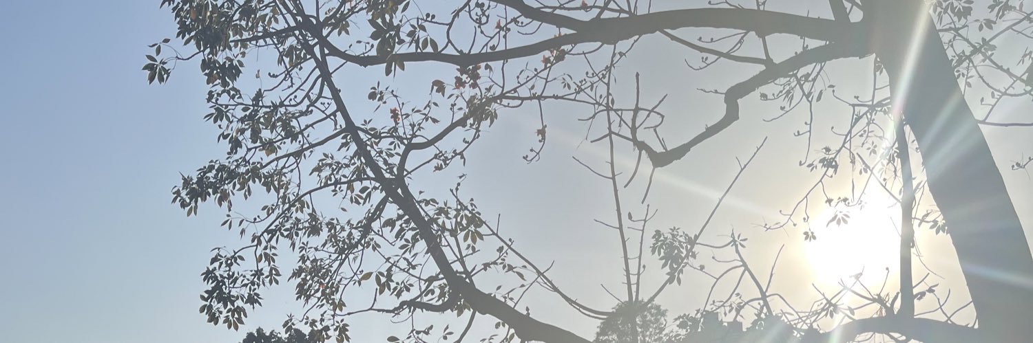 lhamoa8's profile banner image