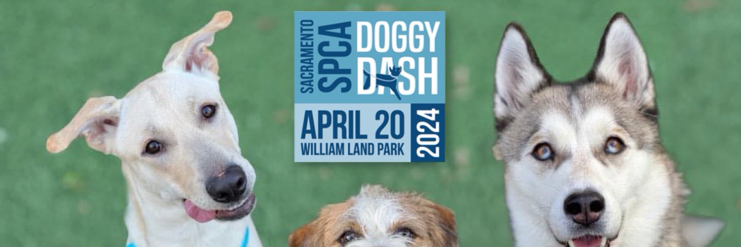 Sacramento SPCA Profile Banner