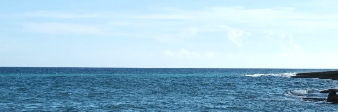 tall_hunk's profile banner image