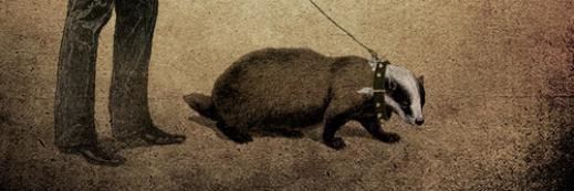 Rupert Klopper banner