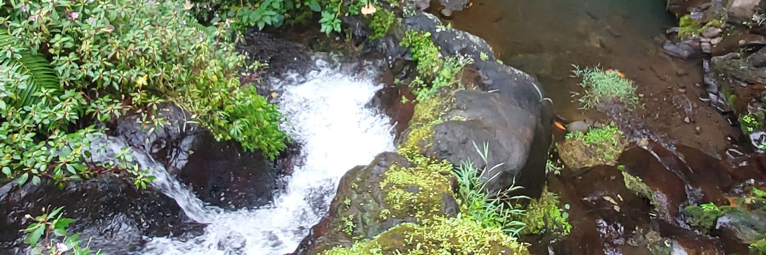 Uncooked_Lego banner