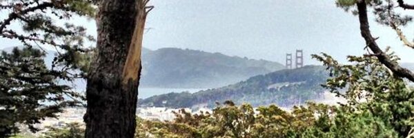 blick Profile Banner